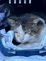 thumb_WhatsApp Image 2026-04-07 at 10.13.44